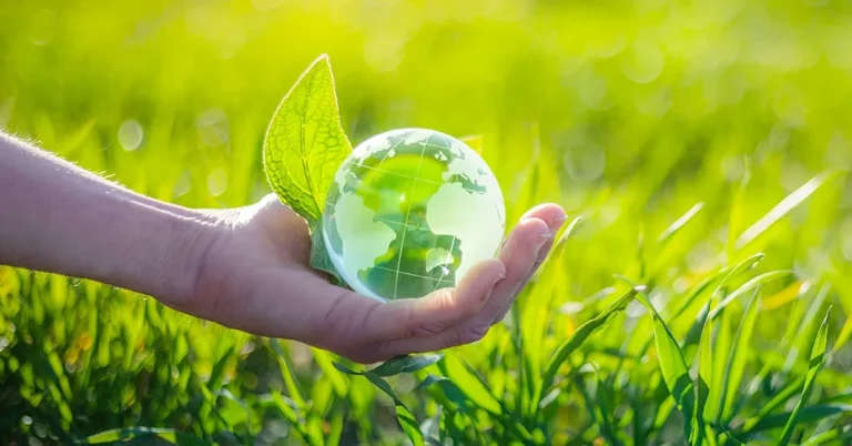 A pair of hands holds our living planet while the sun shines in the background.