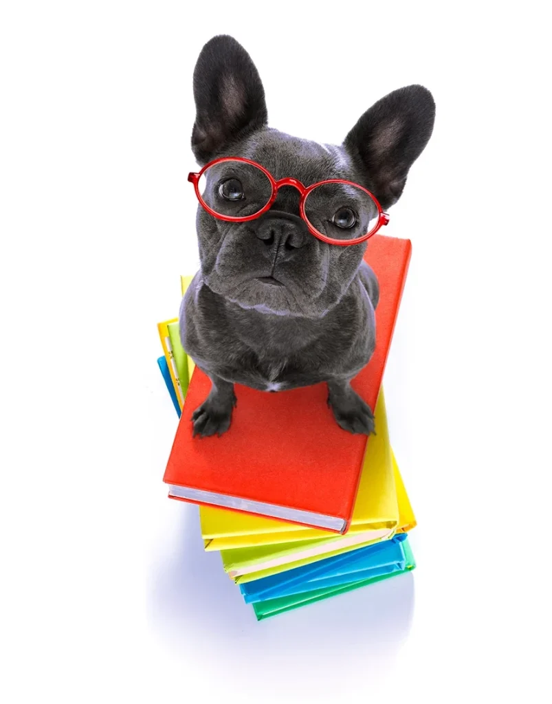 A little French bulldog wearing red glasses sits atop a stack of books.