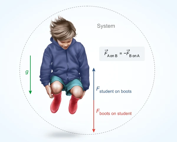 Picture showing a student airborne in mid-jump while pulling on his boots. Forces are internal to the student-boots system, and the system's acceleration is equal to free-fall acceleration g.